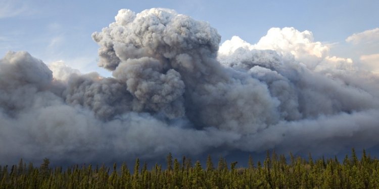Alberta declares emergency as