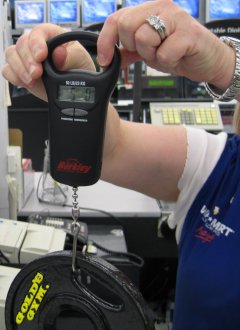 Calibrating the Fish Scale