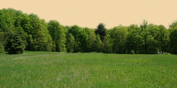 Fuel oil prices per gallon