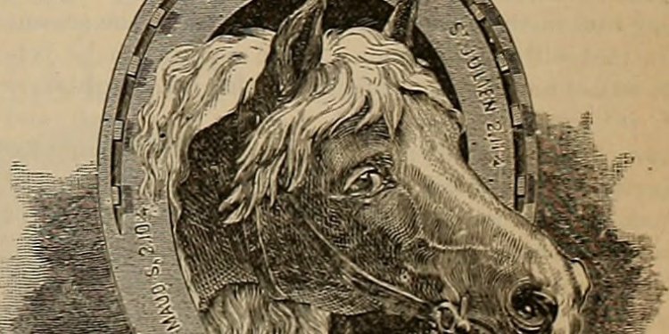 Cape Cod heating oil prices