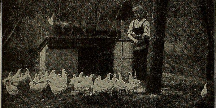 Average cost of oil heating per month