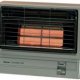 Best gas heater for home