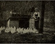 Average cost of oil heating per month