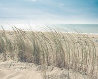 Fuel oil prices on Long Island