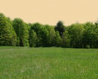 Fuel oil prices per gallon