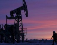 Go Compare oil prices