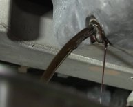 Lowest heating oil prices